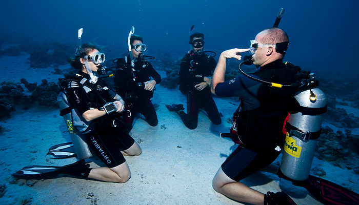 Scuba Diving Prices in Turkey 2023 Scuba Diving Prices in Turkey 2023