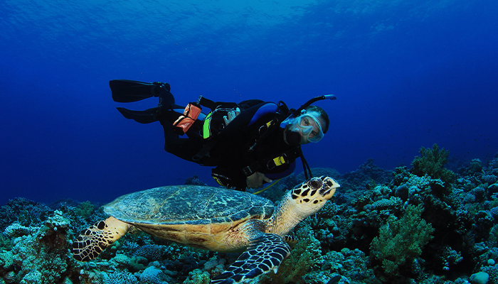 Scuba Diving Prices in Turkey 2023 Scuba Diving Prices in Turkey 2023